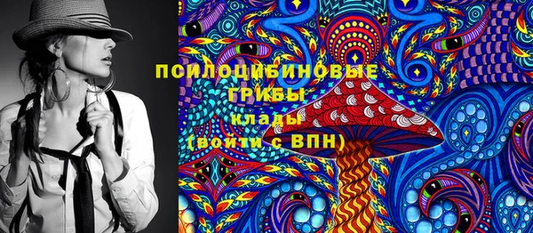 спиды Липки