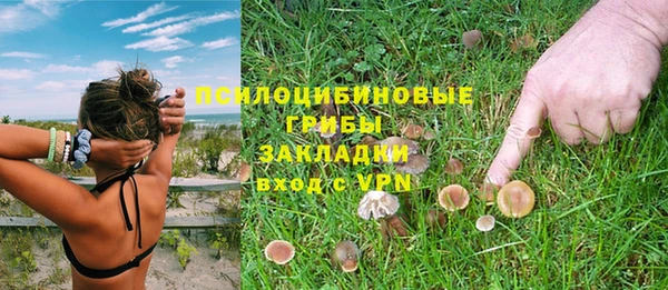 спиды Липки