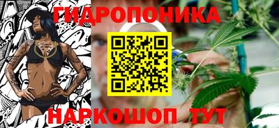 ГАЛЛЮЦИНОГЕННЫЕ ГРИБЫ Беслан