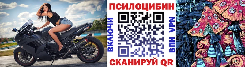 хочу наркоту  Мирный  Псилоцибиновые грибы прущие грибы 