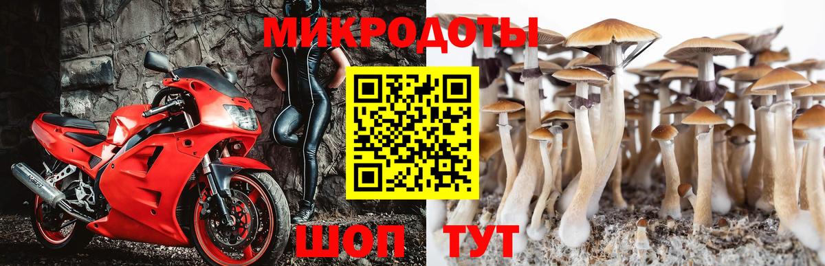 Галлюциногенные грибы мицелий Мирный